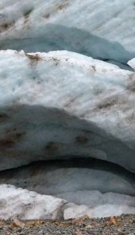 p1010485.jpg_640_640