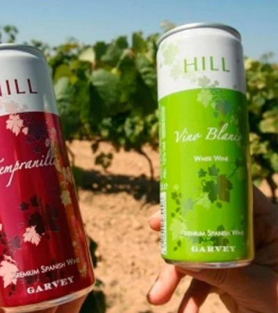 Nuevos-envases-de-venta-de-vino