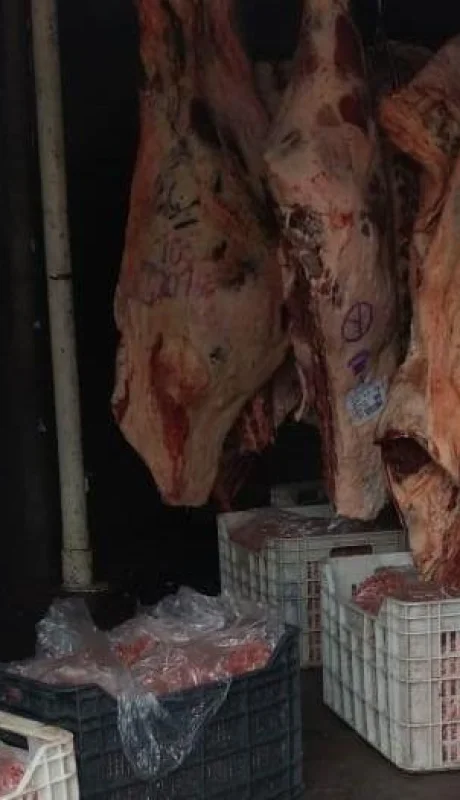 carne-en-mal-estado-