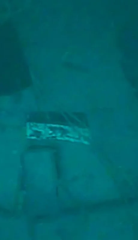 1542565820181118015-(1)