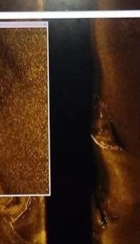 ara-san-juan-fotos-submarino