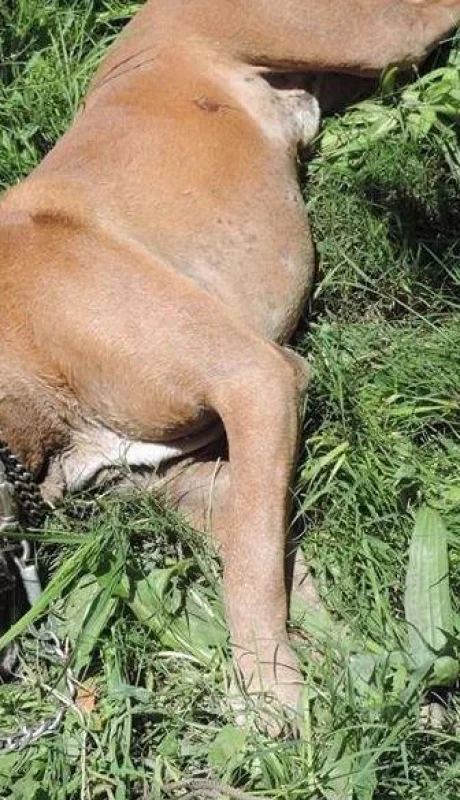 46495584_349782195579816_6420272531747373056_n