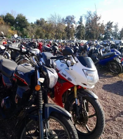 WhatsApp-Image-2018-06-13-at-11.31.20