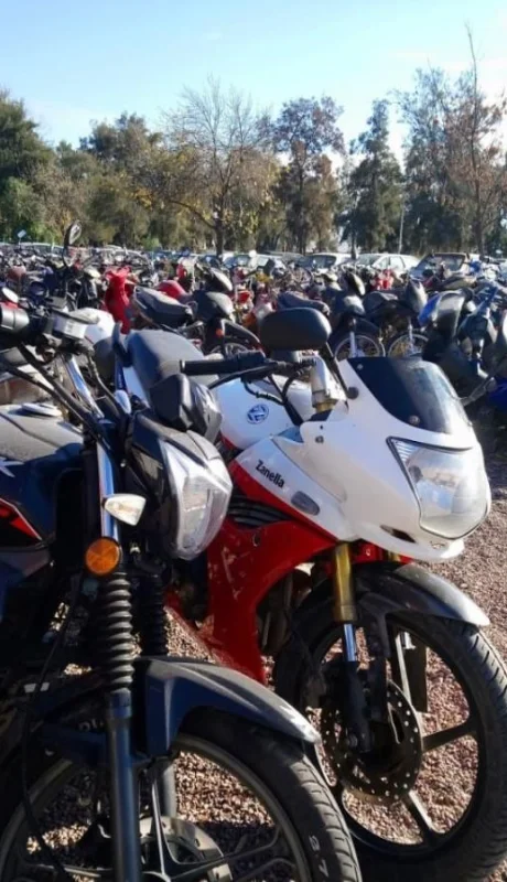 WhatsApp-Image-2018-06-13-at-11.31.20