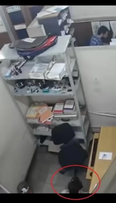 mujer-robo-oficina-fiscal-godoy-cruz-video