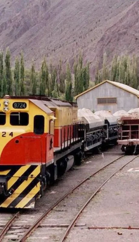 Ferrocarriles_Argentinos_-_Carguero_en_Ingeniero_Maury