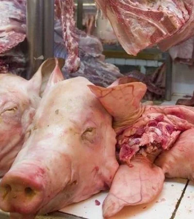 carne-de-cerdo-porcina