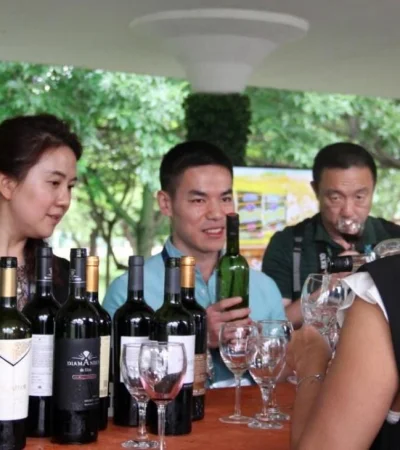 Bodega-Valle-del-indio-3-(1)