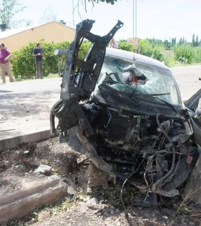 WhatsApp-Image-2018-12-15-at-14.44.59