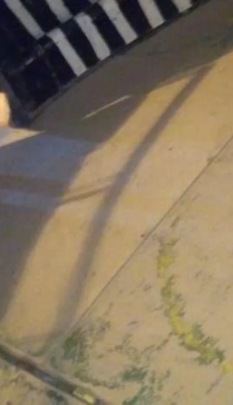 WhatsApp-Image-2018-12-11-at-13.37.52