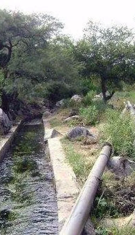 canal-de-riego-acequia-zanjón