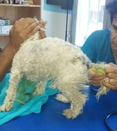 48420473_134470014114325_3756642275577298944_n