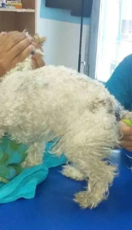 48420473_134470014114325_3756642275577298944_n