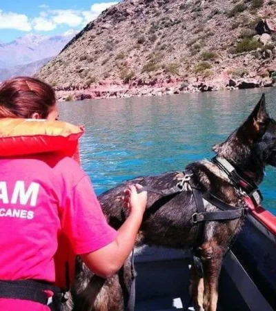 WhatsApp-Image-2019-01-30-at-10.43.45