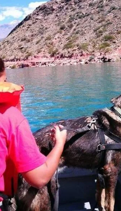 WhatsApp-Image-2019-01-30-at-10.43.45