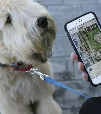 la-tecnología-se-vuelve-la-aliada-de-las-mascotas-797x400