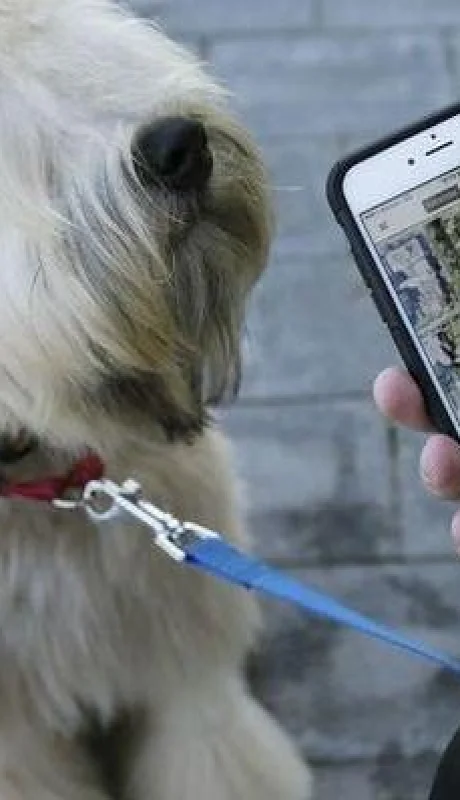 la-tecnología-se-vuelve-la-aliada-de-las-mascotas-797x400