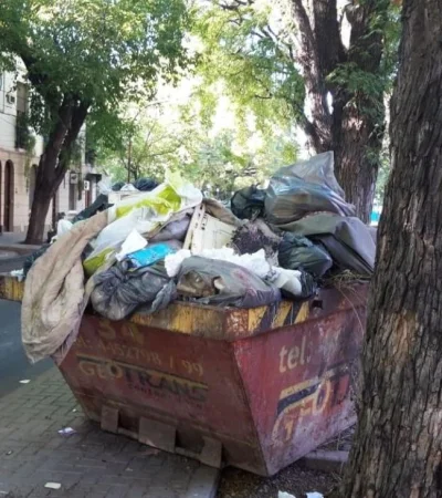 WhatsApp-Image-2019-01-19-at-09.27.32