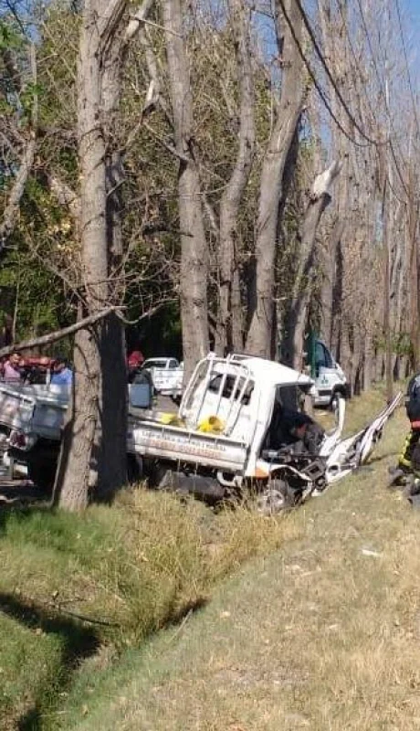 e87dfa1a-a8f6-4955-b8e2-454c0616e461