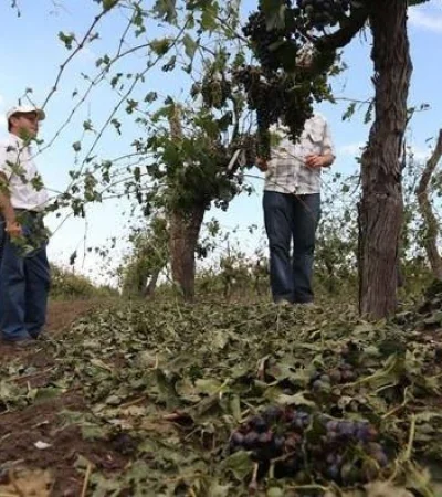 1.-Emergencia-Agropecuaria