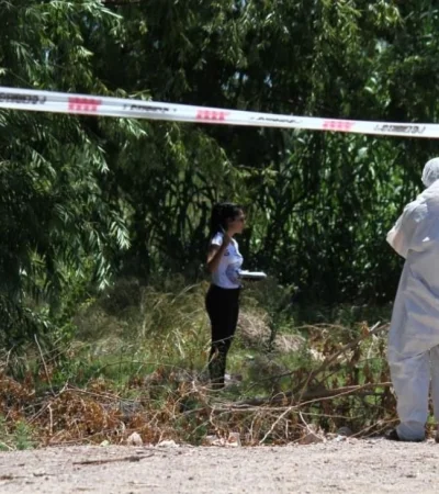 93390dea-6a93-4d69-a58e-7dedbcc70452