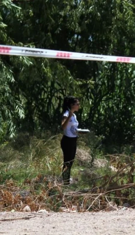 93390dea-6a93-4d69-a58e-7dedbcc70452