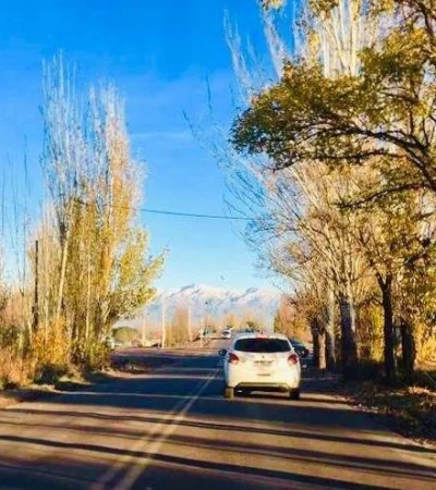 WhatsApp-Image-2019-01-24-at-17.02.33