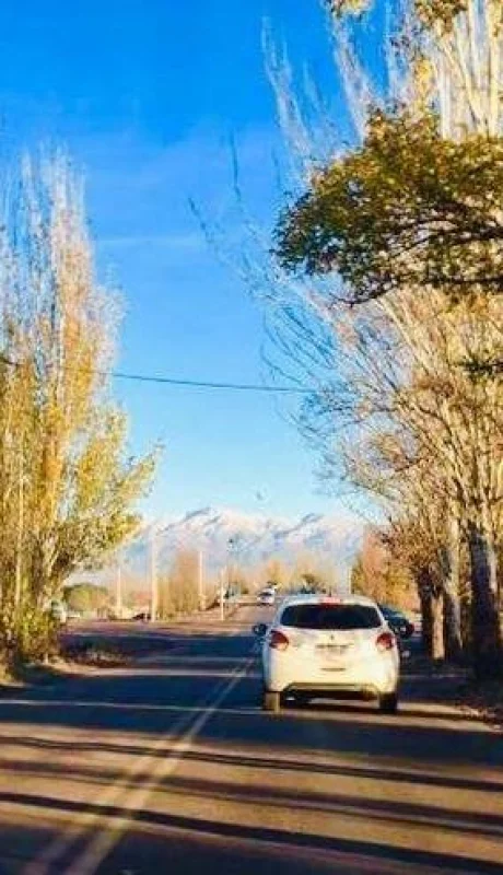 WhatsApp-Image-2019-01-24-at-17.02.33