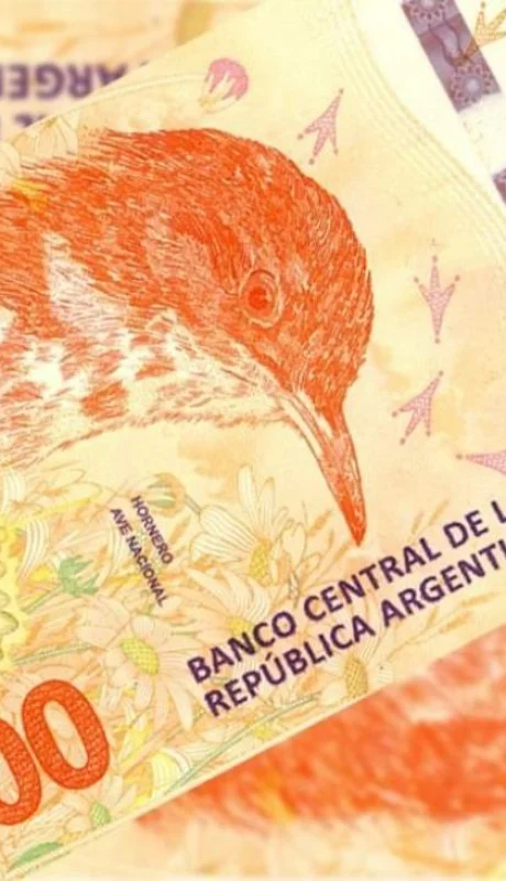 billete-hornero