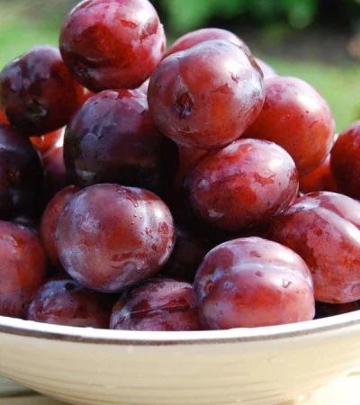 ciruelas-mendoza-produccion-economía-caída