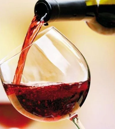 vino-mendoza-vietnam-mision-comercial-argentina-estancia-2-