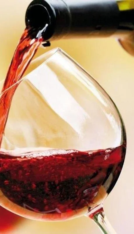 vino-mendoza-vietnam-mision-comercial-argentina-estancia-2-