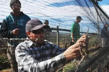 Ruralia: La plataforma que busca revitalizar el mundo rural con tecnología y trabajo colaborativo