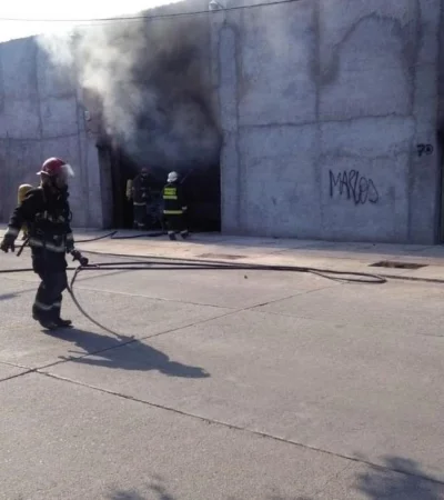 WhatsApp-Image-2019-02-25-at-17.16.19