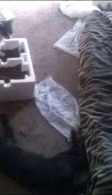 gil-pereg-gastos-mascotas-crimen-mendoza-caso-