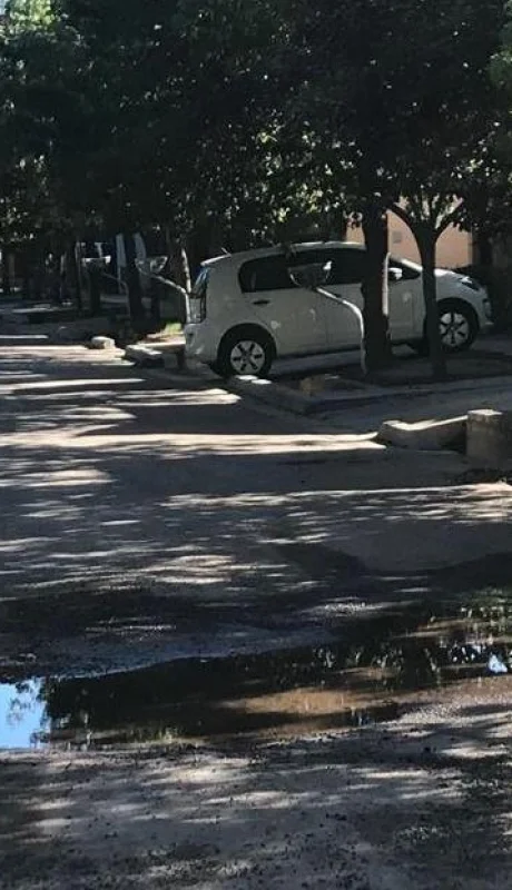 WhatsApp-Image-2019-02-27-at-11.15.01