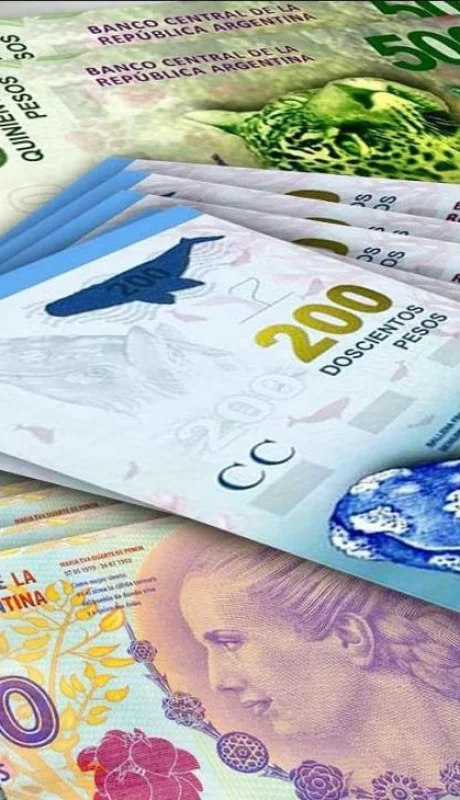 anses-cuando-cobro-febrero