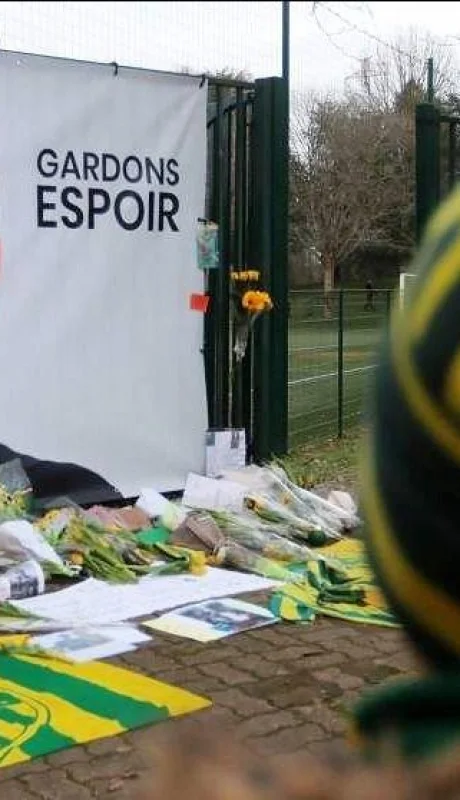 EMILIANO-SALA---FUSELAJE