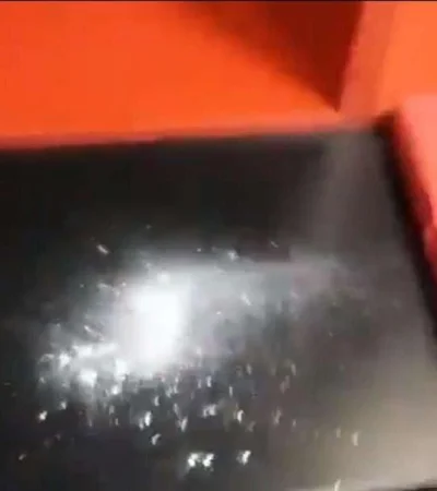 polvo-newell´s-rosario