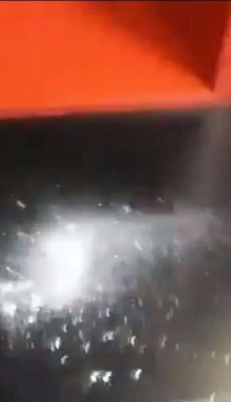 polvo-newell´s-rosario