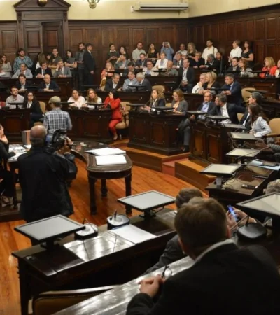 defensor-discapacidad