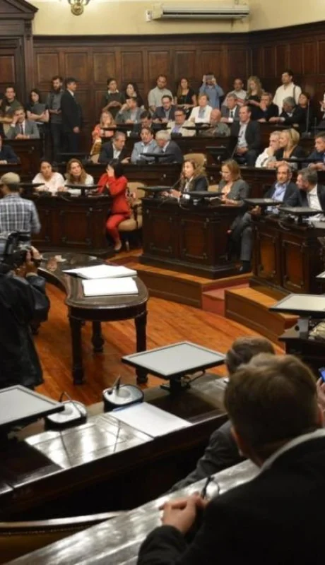 defensor-discapacidad