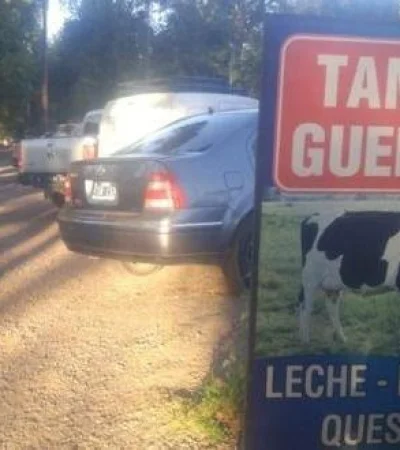 WhatsApp-Image-2019-03-25-at-09.57.34