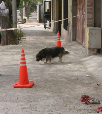 policía-mendoza-inseguridad-7