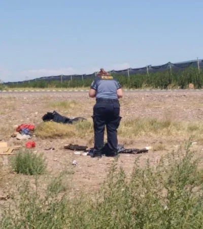 WhatsApp-Image-2019-03-04-at-12.30.24-(2)