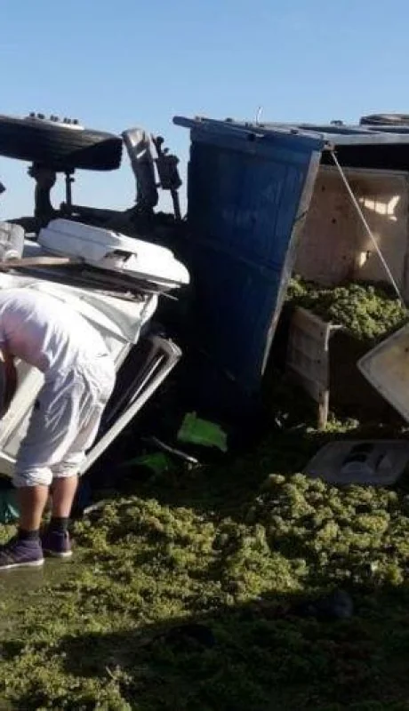 camión-uva-vuelco-tupungato-heridos-mujer-ruta-40-mendoza-policiales-hoy-2