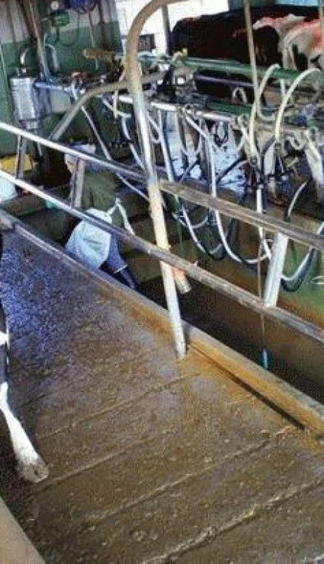 tambo-mendoza-leche-productores-argentina-escasez-marcas