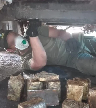 Camión-marihuana-secuestro-perro-policiales-hoy-7