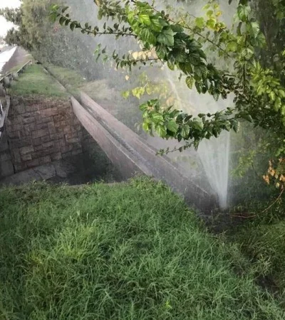 9f47f48c-7493-4044-aae4-fc484228ed1b