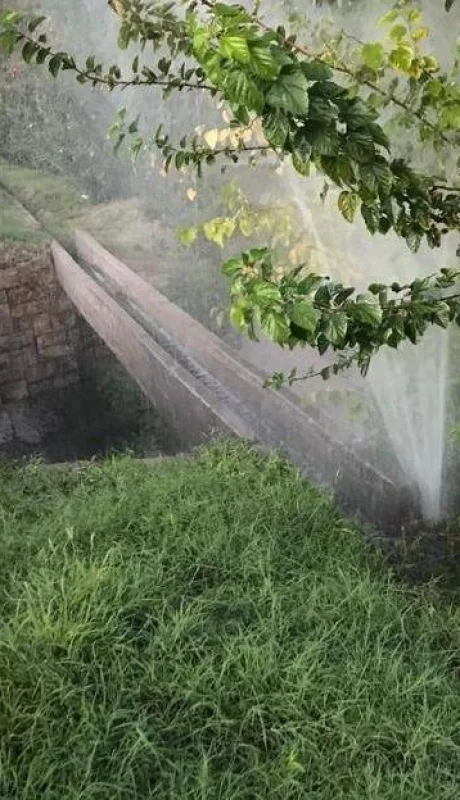 9f47f48c-7493-4044-aae4-fc484228ed1b